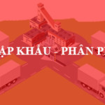 nhap-khau-phan-phoi-vitd